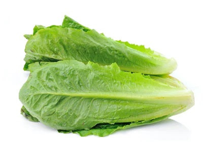 Hydroponic Romaine Lettuce by Ogreens 150G